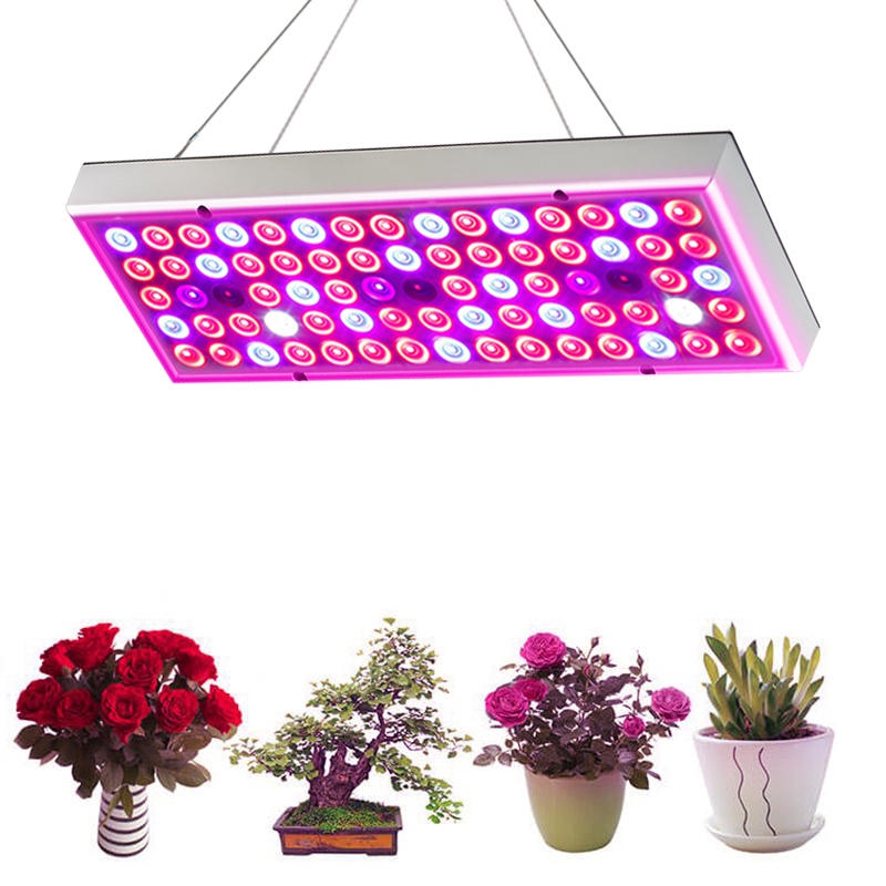 45W Grow Light Panel IP40 With CE ROHS Listed for Growing Plants