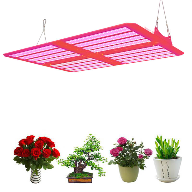 480W Indoor LED Grow Kit with CE Listed for Vegetable Grow Lights