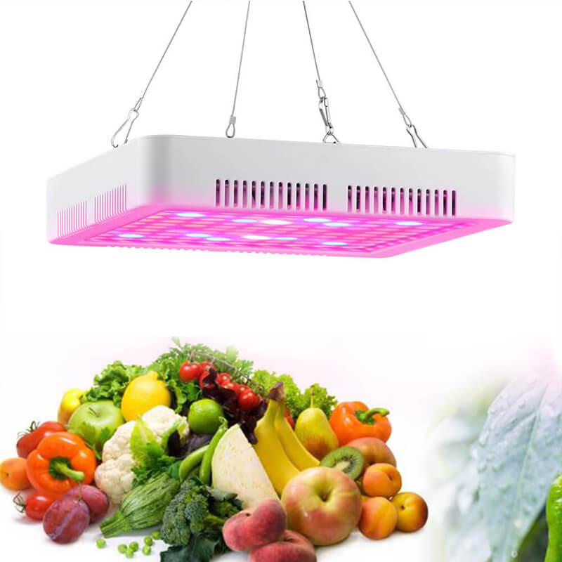 60W LED Panel Full Spectrum With CE ROHs Listed for Mushroom