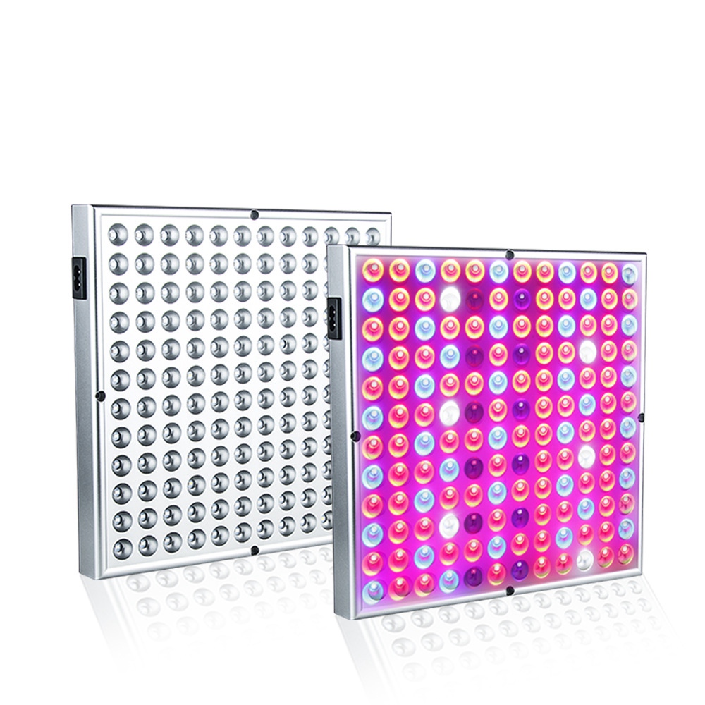 60W Panel LED Full Spectrum With CE ROHS Listed For Cannabis Lighting