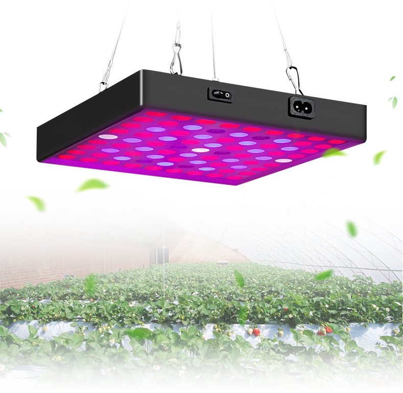 Are LED Grow Lights Well Worth the Investment?