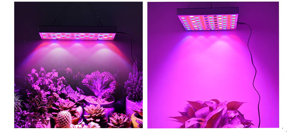 Grow-Light-Panel-IP40