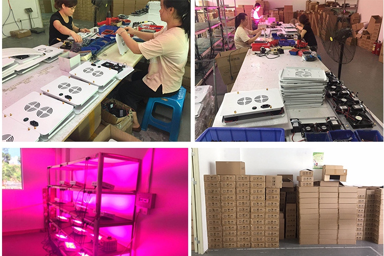 What Size LED Grow Light Do I Need？