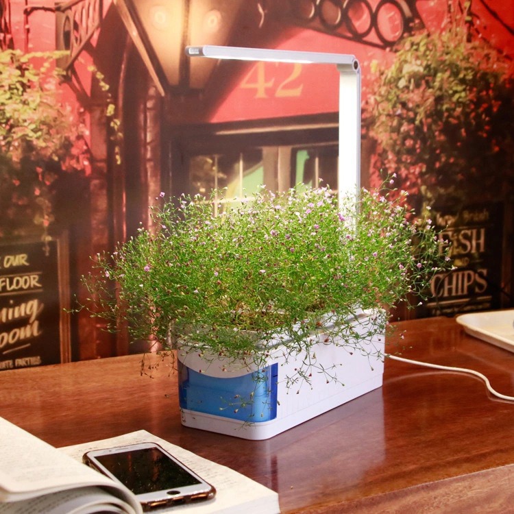 Professional LED Grow Lights for Growing Plants