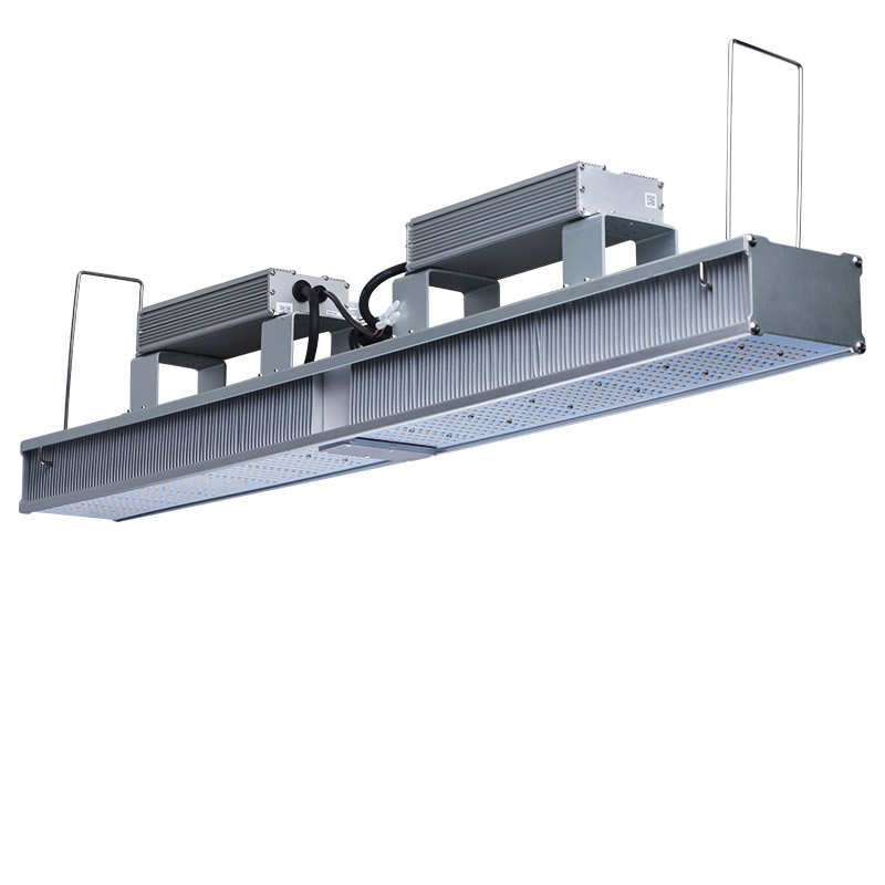 Indoor Garden Grow Lights Wholesale 600W Linear module for plant grow