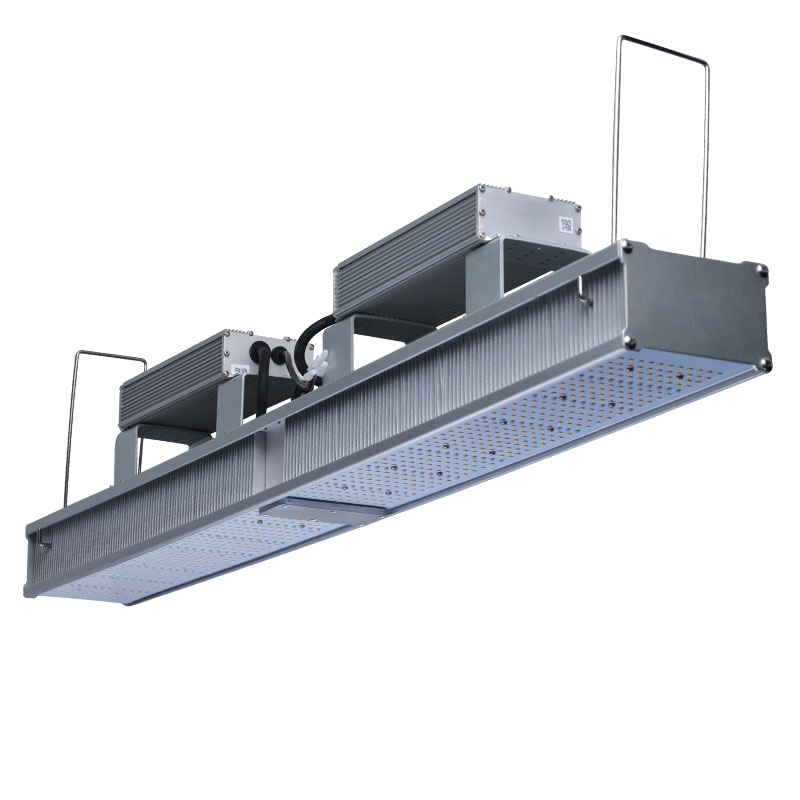 Indoor Garden Grow Lights Wholesale 600W Linear module for plant grow