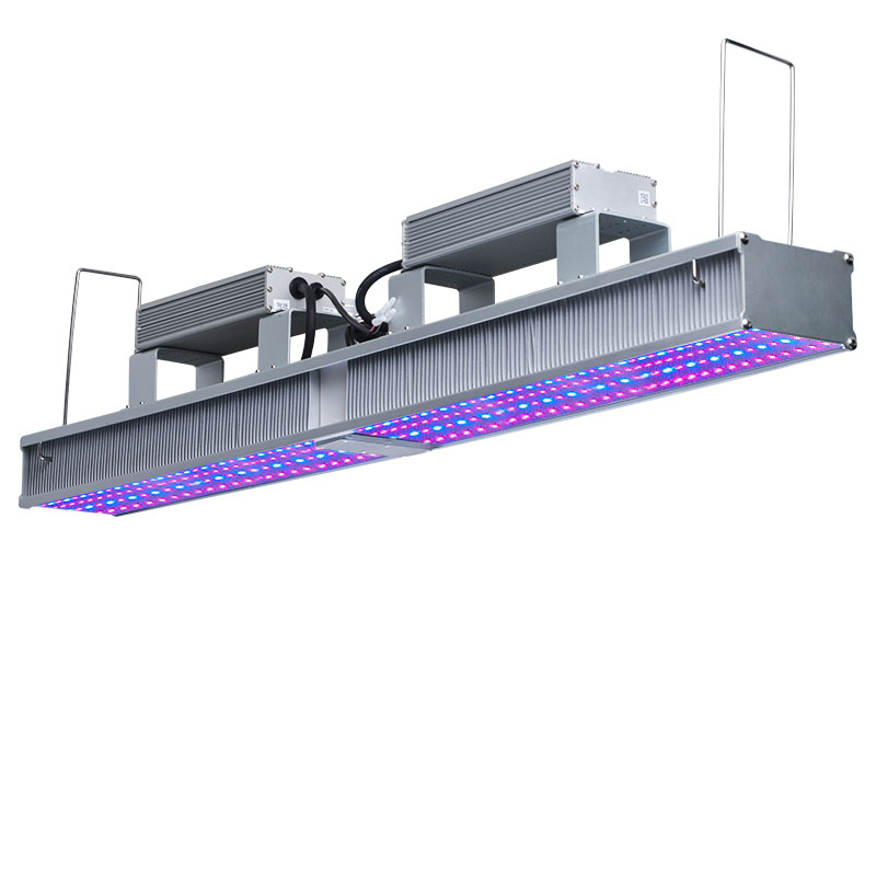 Indoor Garden Grow Lights Wholesale 600W Linear module for plant grow