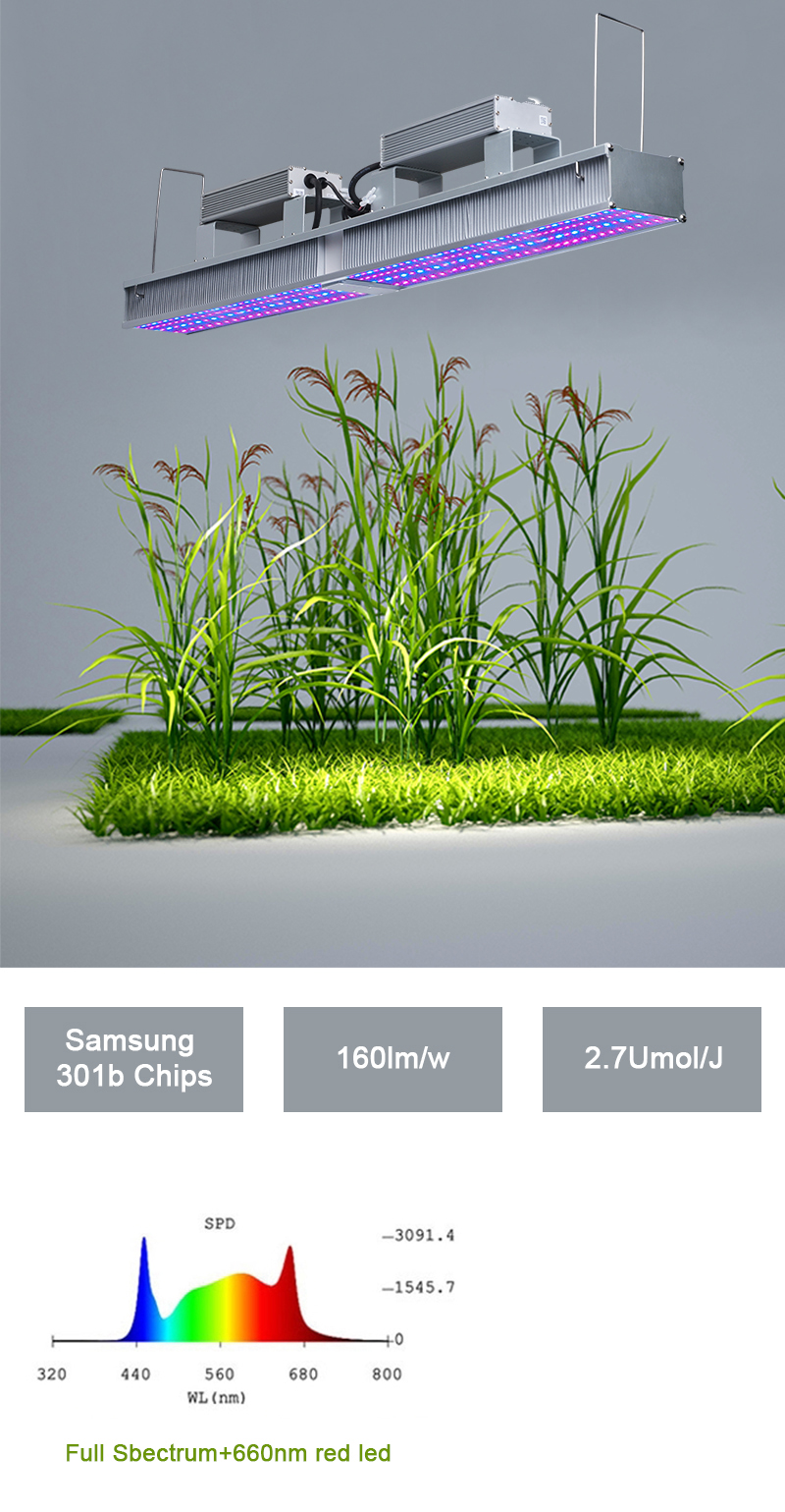 Indoor Garden Grow Lights Wholesale 600W Linear module for plant grow