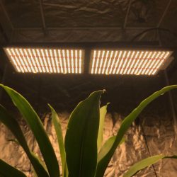 LED Grow Light Spectrum 600W Full Spectrum Panel Lighting PCB Kit