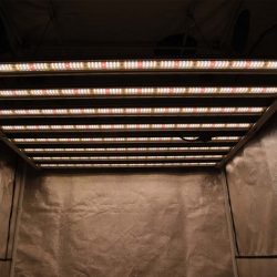 What’s the function of Gorilla Grow Tent Kit?
