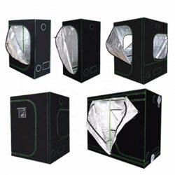 Why our Hydroponic Grow Tent Kit is suitable for cannabis?