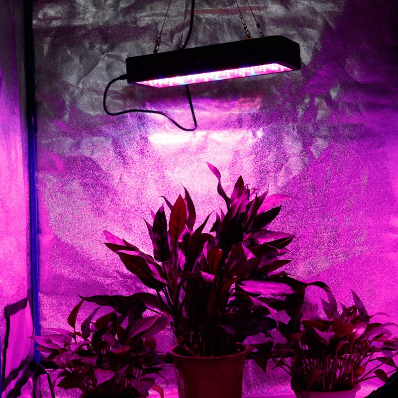 Grow Tent Full Setup 50*50*120cm 600D Indoor  Hydroponic Growing Reflective Room
