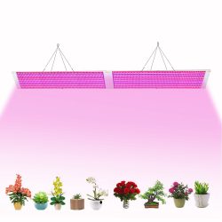 200W Grow Light IP65 for Container Gardening