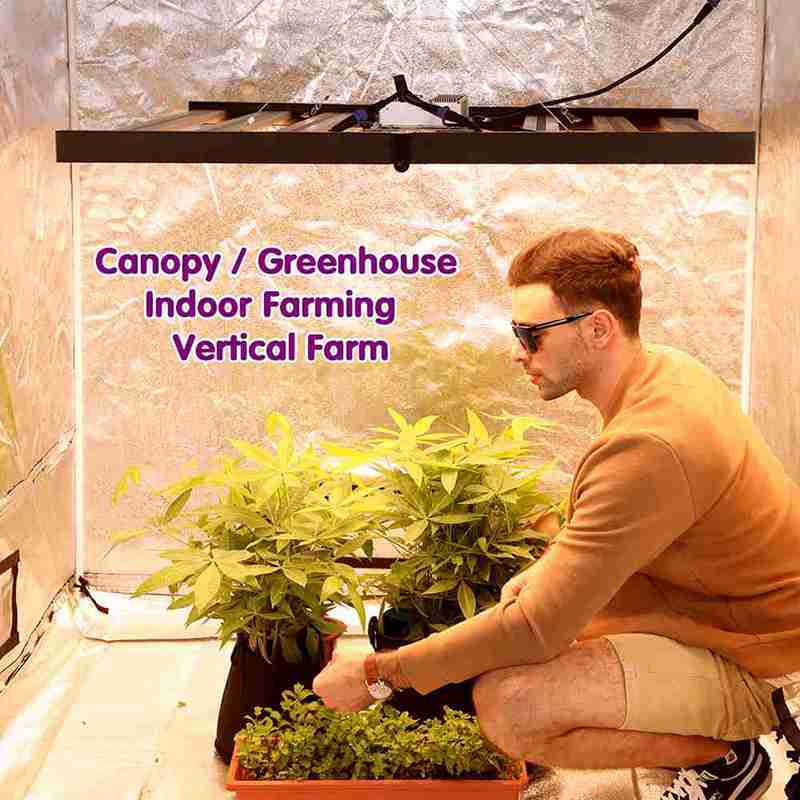 1680μmol/S 300W Full Spectrum Led plant Grow Light 8 Bar Fixture