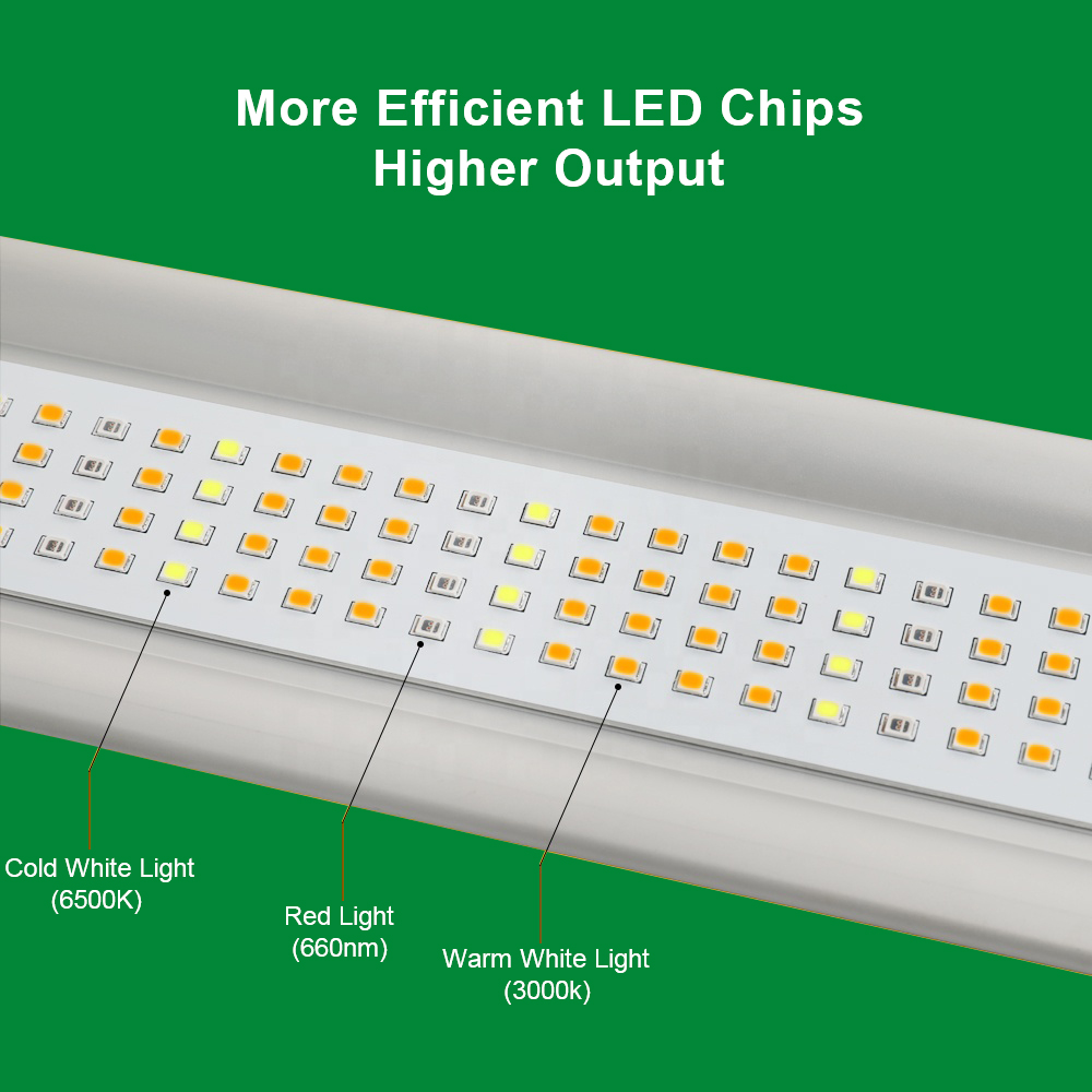 720W Plant Grow Lights IP65 with Ac100-265V Beam Angle 60°