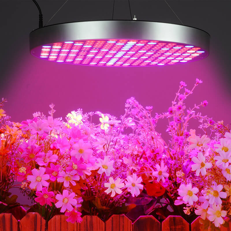 5 Best UFO LED Grow Lights For Growing Plants On 2021