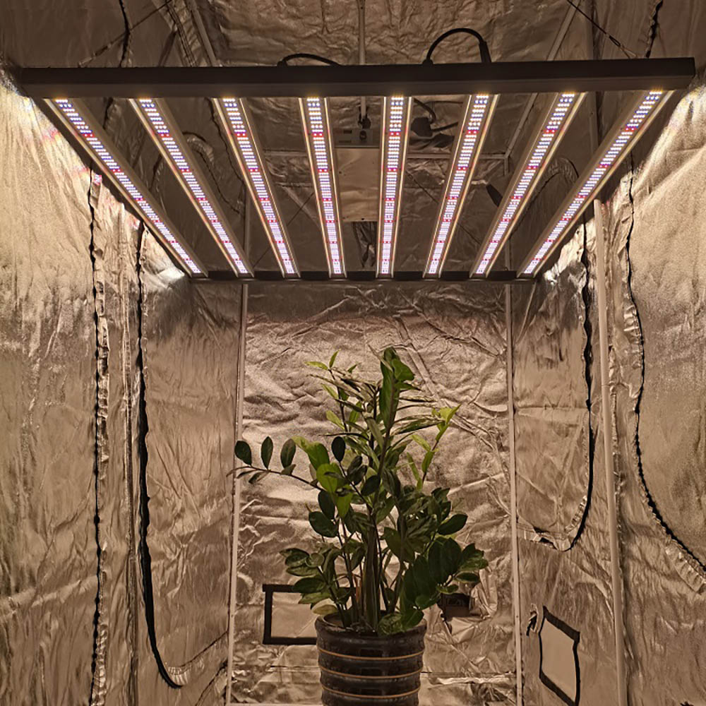 How to Use Led Growing Lamp For Indoor Plants?